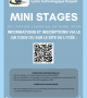 MINI-STAGES