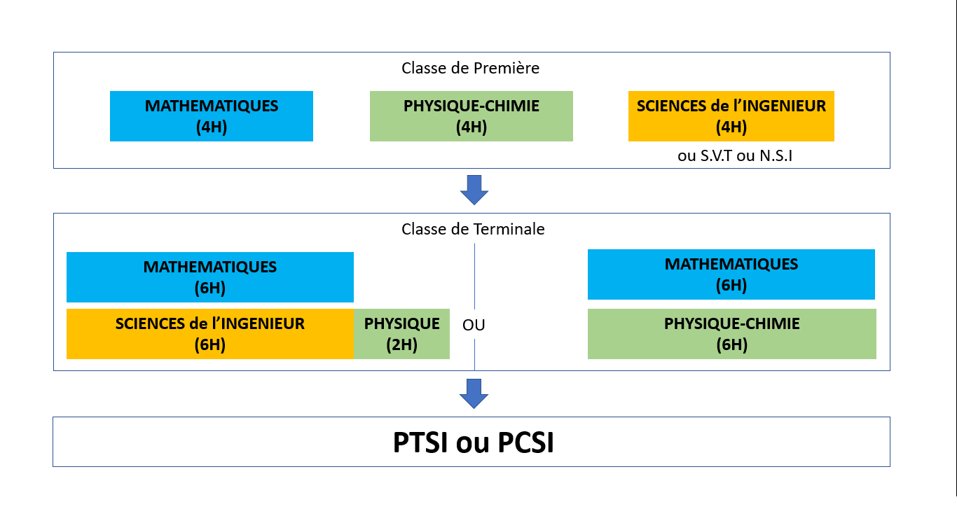 Quelle spécialité choisir