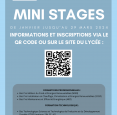 MINI-STAGES