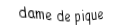 Je suis une carte. Je suis entre le valet et le roi, je suis noir mais pas de trefle.