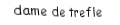 Je suis une carte. Je suis entre le valet et le roi, je suis noir mais pas de pique.